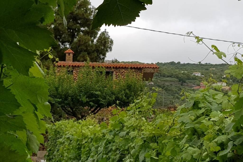La Tagora Conect With The Nature & Relax Икод де лос Винос Екстериор снимка