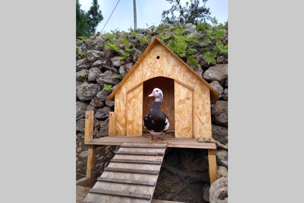 La Tagora Conect With The Nature & Relax Икод де лос Винос Екстериор снимка