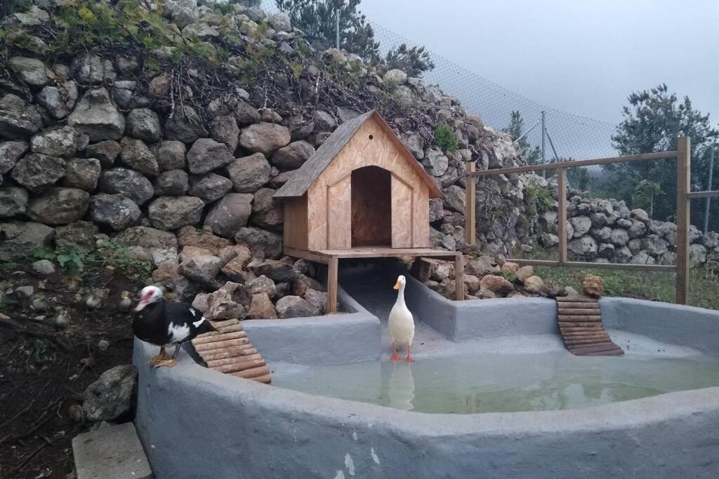 La Tagora Conect With The Nature & Relax Икод де лос Винос Екстериор снимка